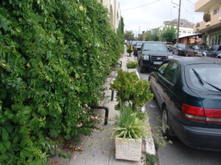 Этот тротуар в Аногии весь заставлен растениями