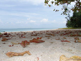 Что видно, лёжа на пляже острова экстремалов (Lao Liang)